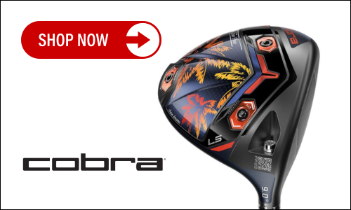 Cobra Darkspeed ADAPT Drivers